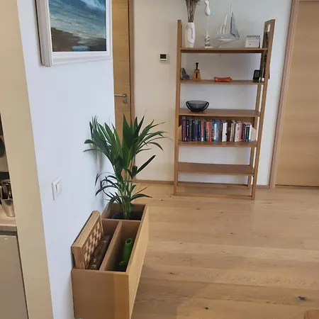 Korter Tiiru Pesa
